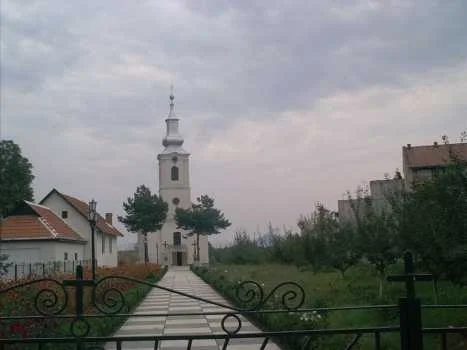 Livada (Oraș · Satu Mare)